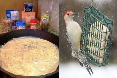 How to make a homemade suet cake then place into a suet cage with a bird feeding