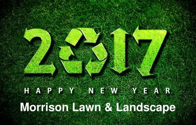 A green grass background display our new year 2017